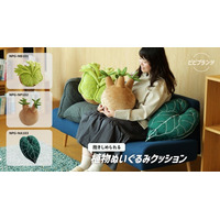 抱きしめられるビカクシダ】3種の珍奇植物がまさかの“もふもふ”に