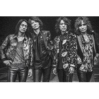 THE YELLOW MONKEY 再集結から10周年、フォトグラファー・MITCH IKEDA