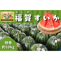 １株１果どりで旨み凝縮！やまぐちブランド登録の「福賀すいか」をＪＡタウン「正直やまぐち」で販売中！