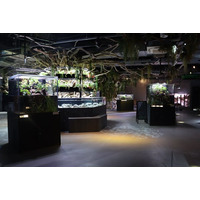 【7月11日リニューアル】2階「ELEMENTS 精霊の森」新しい体験もスタート！【神戸港の水族館アトア】