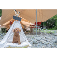 清流と里山に囲まれたCOMORIVER（コモリバ）で愛犬とお泊まり愛犬との旅をもっと気軽に「ペットアイテム」を拡充