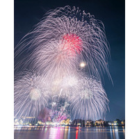 【富士河口湖町】富士山の夏を彩る4つの伝統花火が今年も開催！クラウドファンディングも実施中