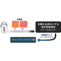 乳製品製造工程由来のアップサイクル素材「グルコラクトオリゴ糖」の整腸作用をヒト対象研究で確認