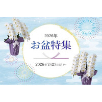 お盆のお供え胡蝶蘭を7月27日～販売開始！初盆・新盆向け商品も展開｜胡蝶蘭専門サイトフラワースミスギフト