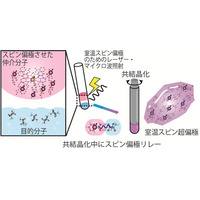 【徳島大学】室温・光駆動で生み出したスピンの偏りをがん代謝MRI診断薬分子「ピルビン酸」へリレーすることに成功～分子が数秒で組み上がる現象を利用し、次世代高感度MRI の実現へ前進～
