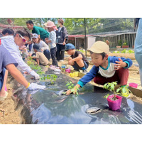 ＜カゴメ、ヤンマーマルシェ、タキイ種苗による【植育から始まる食育】活動の一環＞ 子どもたちが定植し、3か月かけて育てた野菜を味わう「農園の料理教室」を開催