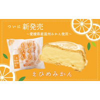 【創業1955年・えひめ宇和島　かどや】名物の伝統「アイスモナカ」に待望の新味！極上「えひめみかん」が満を持して新登場