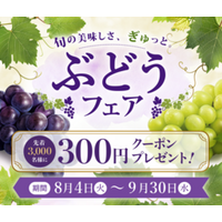 産地直送通販サイト「ＪＡタウン」で旬のぶどうを楽しめる「ぶどうフェア」を開催！