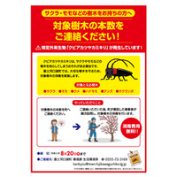【富士河口湖町】特定外来生物クビアカツヤカミキリ対策　サクラ等の無料消毒を実施
