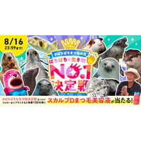 8月8日「ぱちぱちまつ毛の日」に異色コラボが実現！！全国各地の