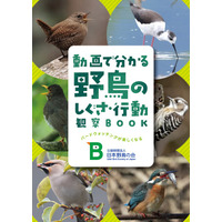 日本野鳥の会 新パンフレット『動画で分かる野鳥のしぐさ・行動観察BOOK』を無料プレゼント！