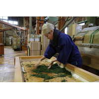 小島瑠璃子のお茶ブランド「maison de RURI」と株式会社河田製畳が、熊本のい草農家を支援するチャリティーイベントを8月21日（金）に1 Hotel Tokyoにて開催
