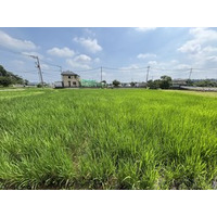 【立正大学】毛呂山町と経営学部・杉原ゼミが「ブランド米開発」でビジネス視点の地方創生へ