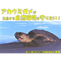 「アカウミガメの卵を守る新しい保護柵をつくるためのクラウドファンディングを実施しています」