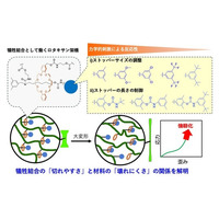 「壊れやすさ」を設計して、壊れにくいエラストマーへ ～ ロタキサン型「犠牲結合」の切れやすさを制御する新たな材料設計 ～