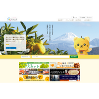 継続的な地域ファン創出を支援する「ふるさと納税特設サイト運用サービス」を提供開始