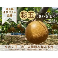 果汁あふれる埼玉県オリジナル梨「彩玉(さいぎょく)」を 産地直送通販サイト｢JAタウン｣で予約販売開始！