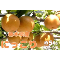 大玉で甘み豊かな栃木県産梨「にっこり」を 産地直送通販サイト「ＪＡタウン」で販売中 