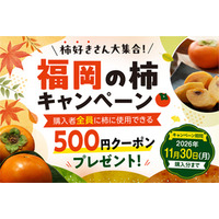 ｢柿好きさん大集合!福岡の柿キャンペーン｣をJAタウン｢博多うまかショップ｣で開催!秋王や富有柿を取り揃える