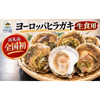 日本初！【岩手県山田町】東日本大震災で消えた「幻の牡蠣」ヨーロッパヒラガキがふるさと納税返礼品に初登場！