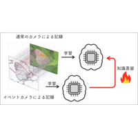 【立教大学】Eventカメラからの知識蒸留で、 AIに「形を見る力」を与える