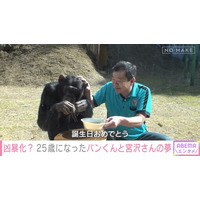天才チンパンジーのパンくん、25歳になった現在に独占密着！10年以上離れて暮らした娘とついに再会　パンくんの育ての親が明かす志村けんさんとの秘話も「涙が出ました」