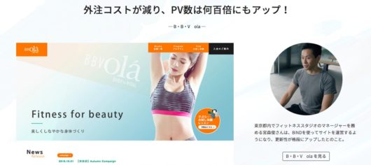バインドアップ(BiNDup)の評判は?料金比較やメリット・デメリットを解説 Bindup 1 530x236 - バインドアップ(BiNDup)の評判は?料金比較やメリット・デメリットを解説
