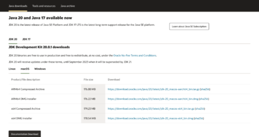 おすすめのマイクラサーバー7選!無料サーバーやサーバーの立て方も解説 java download 530x281 - おすすめのマイクラサーバー7選!無料サーバーやサーバーの立て方も解説
